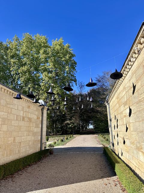 Une allee bordee de chapeaux de sorciere