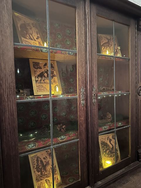 La vitrine aux curiosites